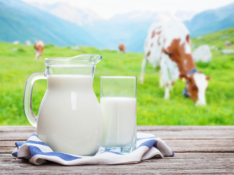 Fresh Quality Skim Milk - Farm Fresh Dairy for Creamy Texture